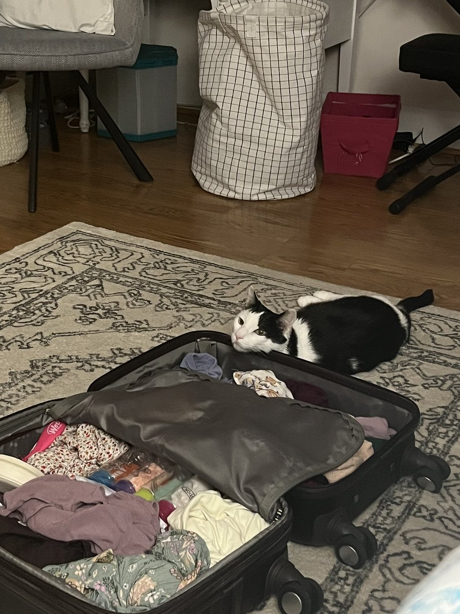 abbycannotread's tweet image. Does this mean he doesn’t want me to leave?? 😭 currently bawling