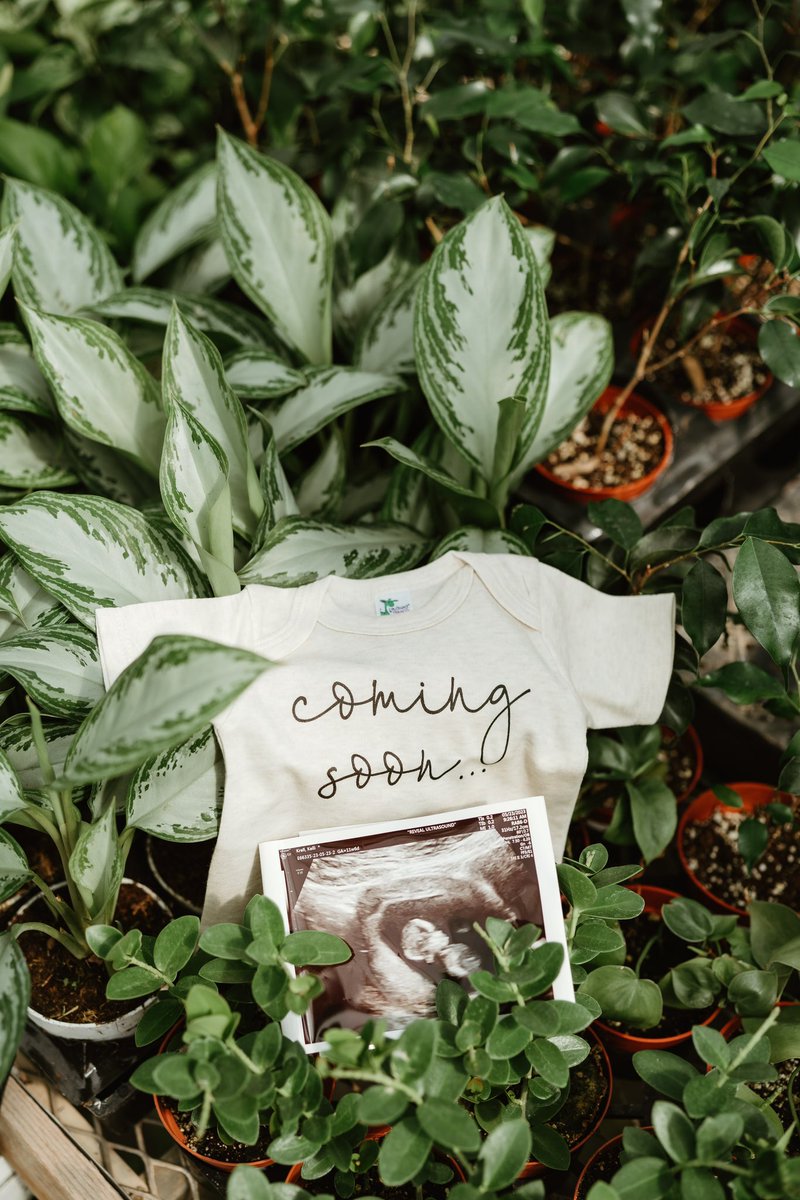 Jason Krell tweet media