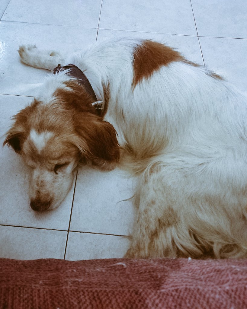 Como te extraño Lorenzo de mi Corazón