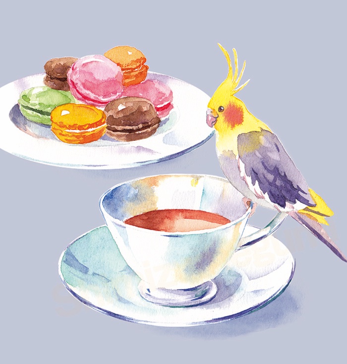 #オカメインコ がなぜかトレンド入りしているので便乗。動物と食べ物の水彩イラスト描いてます。 https://t.co/A9HDt5zboC
