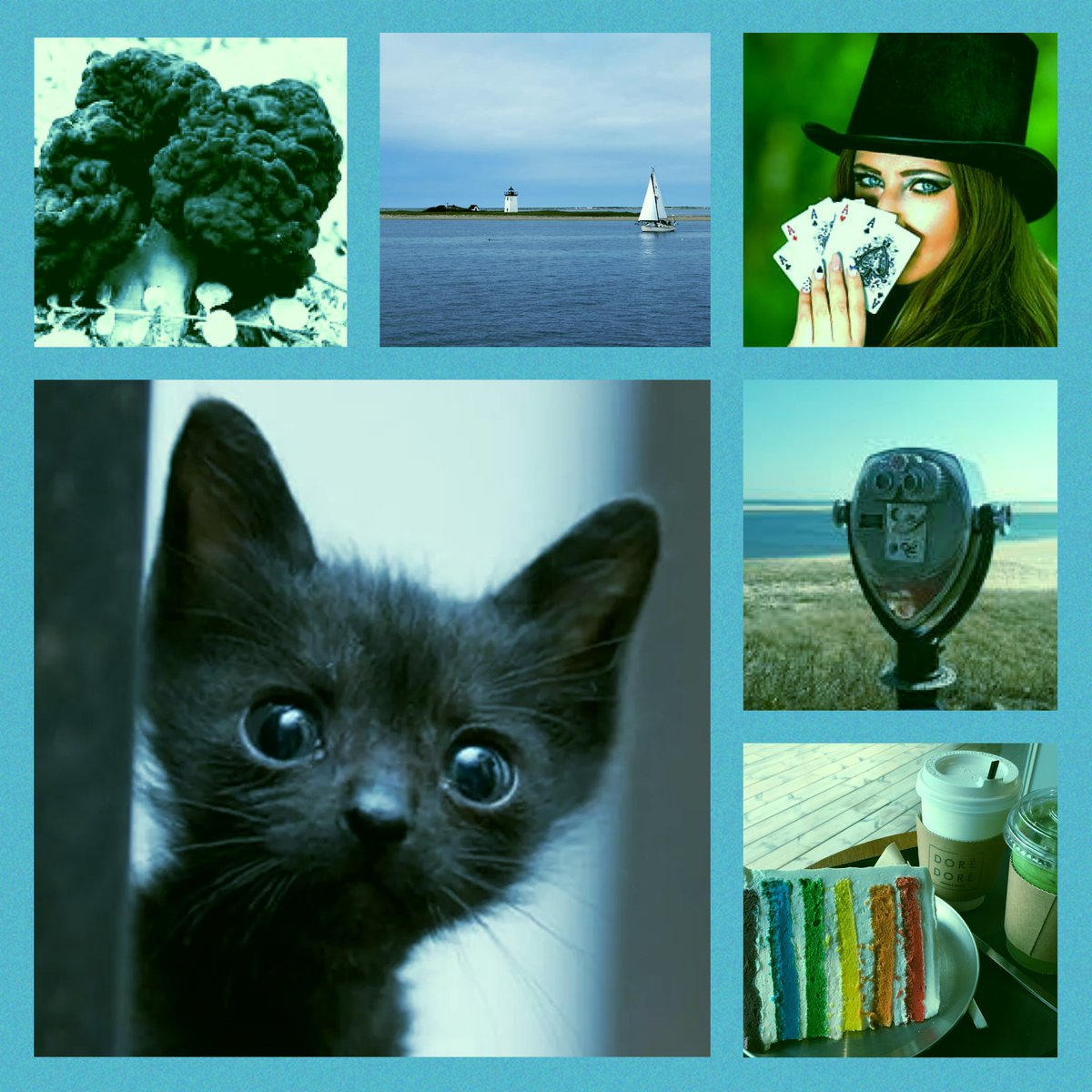 buttonjar1's tweet photo. CHET THE DOG but KITTENS

When millennial stage magician Mila’s philandering husband is murdered, her three kittens must use their burgeoning control over the laws of physics to clear her name before Mila is taken away to the human pound forever.

#JoyPit #A #M #OWN #LGBT https://t.co/ExUDpvuEHq