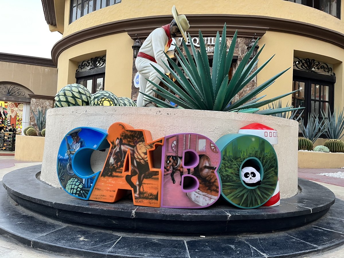 KaalvoetPanda's tweet photo. Me and fred hanging out in cabo 🇲🇽… #findfred #Cabo #travels #adventures https://t.co/GKunXOSou8