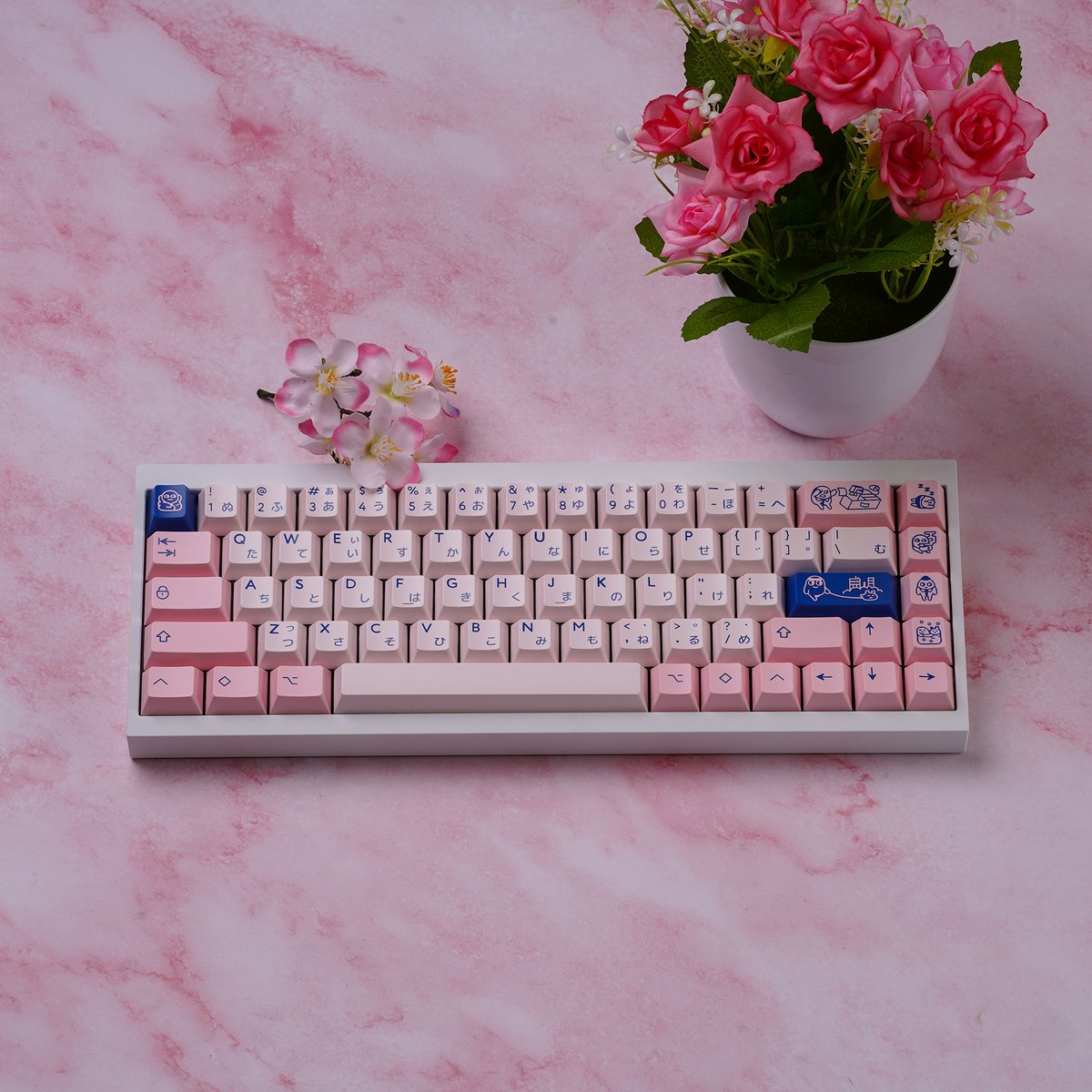 In-stock] Tofu65 2.0 Details -Keycaps: PBTfans POCO -Case color: E