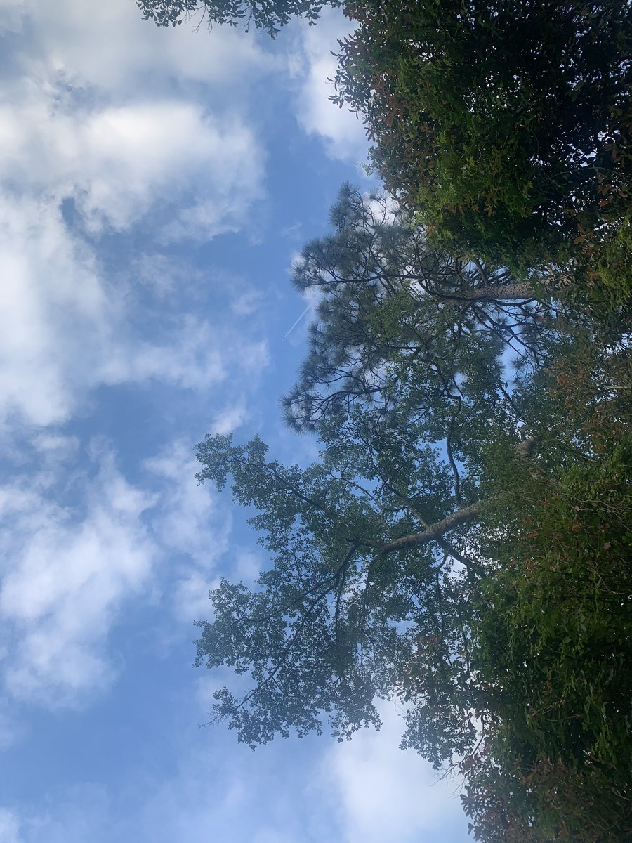 jilcantstaystil's tweet image. #TheViewFromHere 
I was told I needed an blood patch for my spinal leak (following LP), but would have to wait until Tuesday.
I’m a chronic pain patient but this pain is beyond 10.
Healthcare must be provided with more dignity than this.  Check out @spinalCSFleak to learn more.