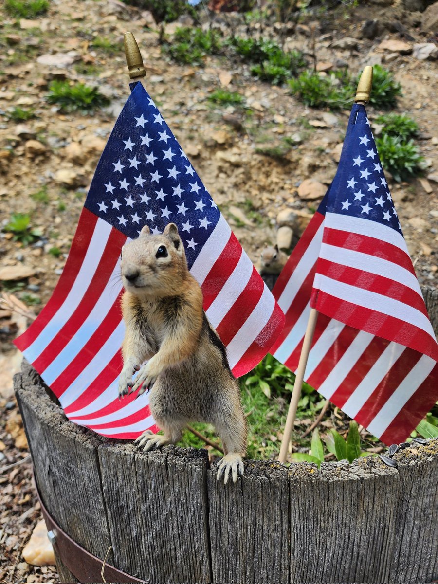 ThePhoenixMine's tweet photo. We had such a fun Memorial Day weekend! Remembering and honnoring those who have served for our country https://t.co/OkXmvBiTWx