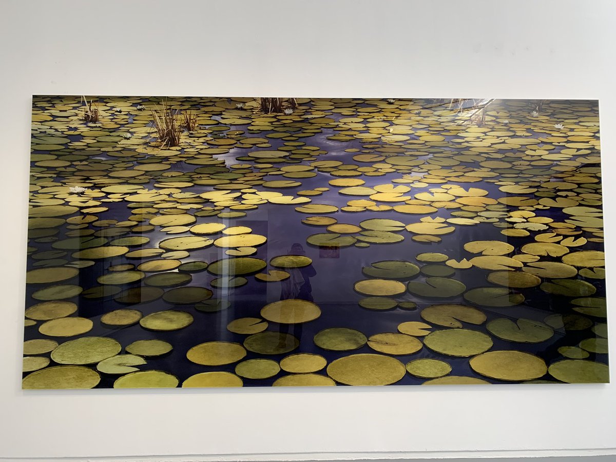 VeroChartier19's tweet photo. @jeudepaume @israelmuseum @MinistereCC Merci pour votre accueil. Les élèves germanistes 🇩🇪 du lycée Galilée @AlldVersailles @acversailles ont pu admirer le travail de #ThomasDemand et poser pour une future expo 🤭 https://t.co/fXKPGIPKLD