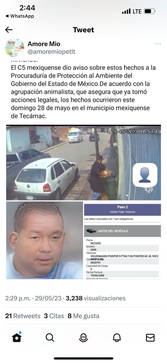 Animales_CDMX's tweet photo. Por favor ayúdenos a encontrar a este miserable ASES1N0 #Exigimos todo el peso de ley a esta escoria @Edomex @alfredodelmazo @AytoTecamac 🚨🚨🚨 @genarolozano @nmas https://t.co/55EERQ0cBJ