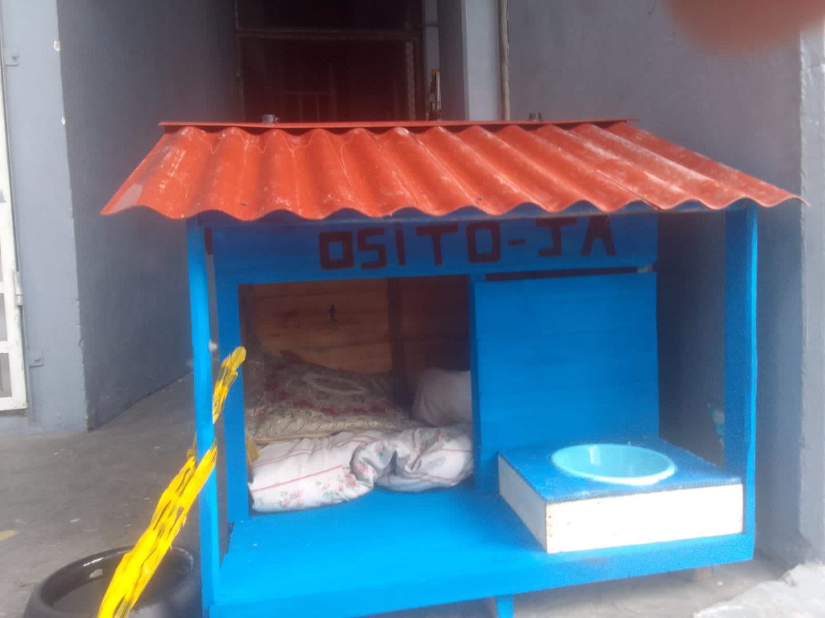 Empresa de Pasajeros Quito tweet media