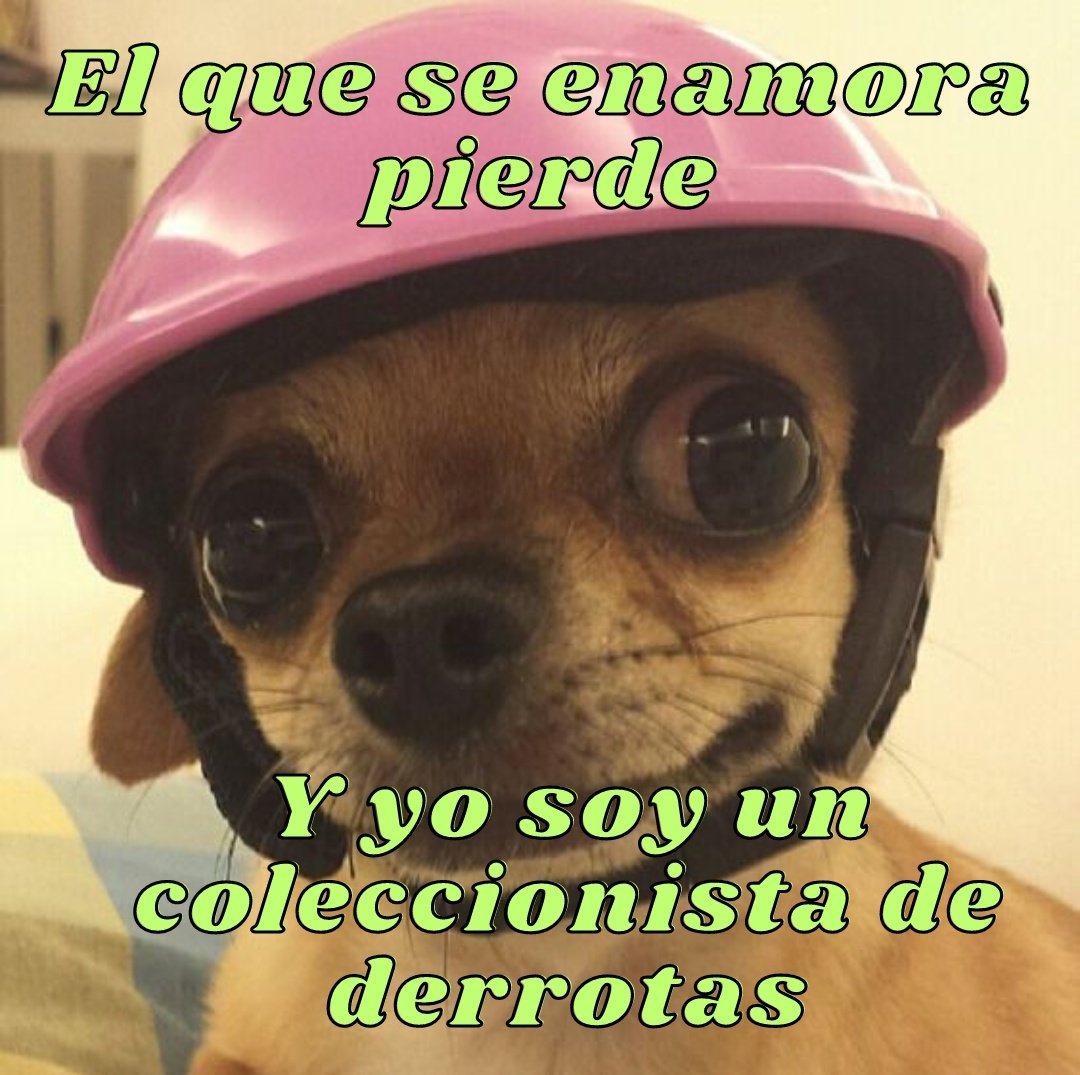 Millennial Chisme Compilation | Potro Meme Acapulco Shore, image size:1080x1075