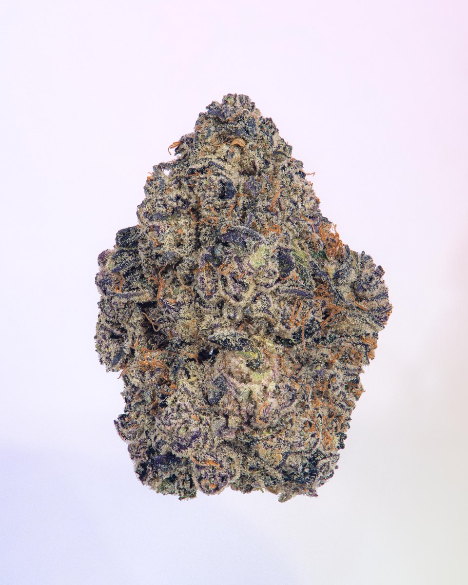 cookiesglobal's tweet photo. MadCow grown { Cereal Milk } on the menu ⛽ Relaxed body feel and a happy head high ... @Pieguy420 https://t.co/pUStZy1uDX