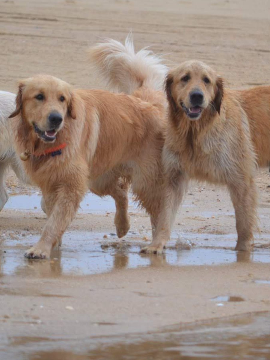 Perguerval 🇫🇷 tweet media