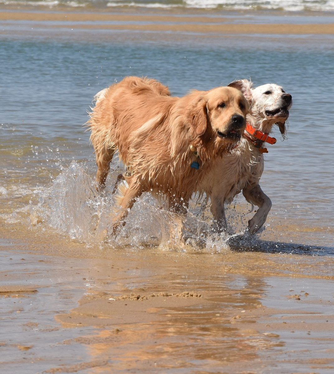 Perguerval 🇫🇷 tweet media