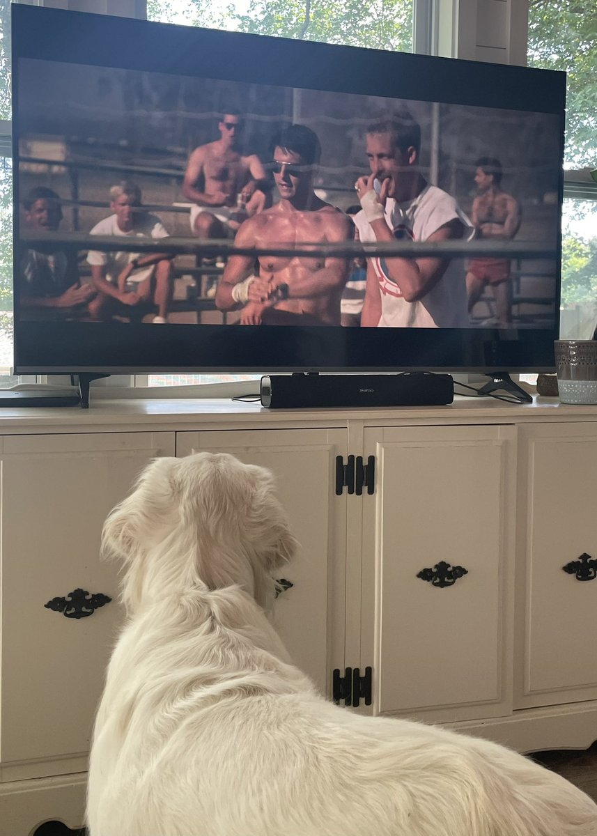 ashleysegars's tweet photo. Even the puppy knows to stop and watch #topgun https://t.co/cFQqyIJlEn
