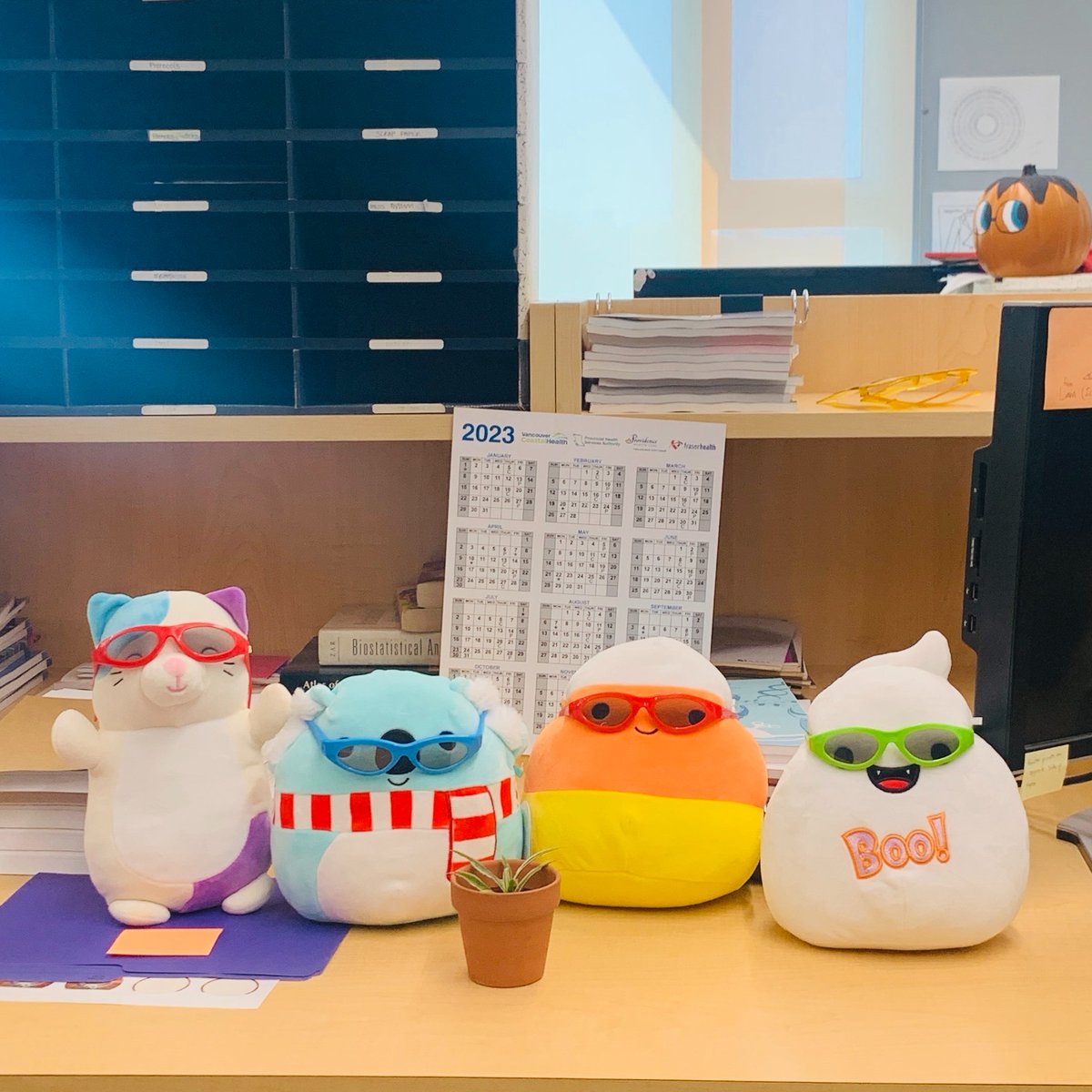 Lab plushies have new accessories! 🕶️ 
(Mx. Pumpkin giving the *bombastic* side-eye 👀)