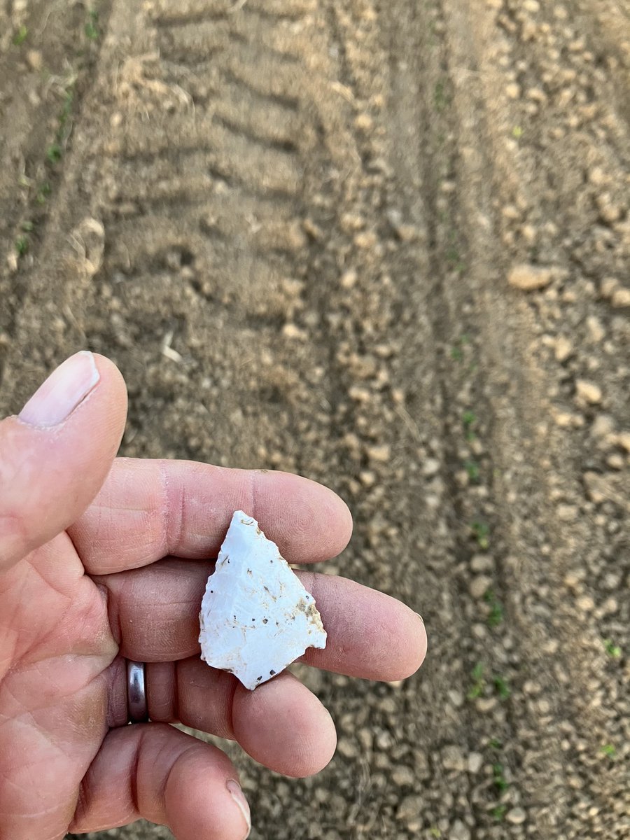Found an arrow tip on my field scouting tonight.