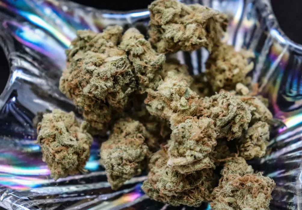 Gov Gianforte signs new Montana Marijuana regulations into law

buff.ly/43aeC49 #420intel #intel #cannabis #marijuana #weed #hemp #CBD #cannabusiness #cannabisindustry #cannabiscommunity #entrepreneur #medical #startup #smallbusiness #high #marketing #socialmedia #digital