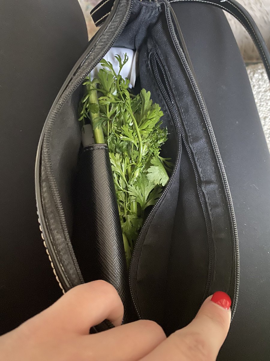 went to cubs game and stole a bunch of parsley 🍀🩷