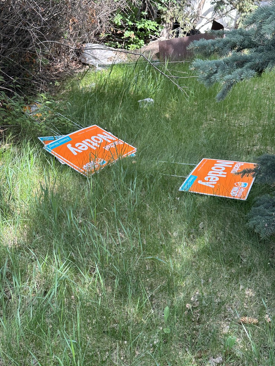 Walking home from voting, right along the border of Shandro’s riding, and someone has pulled every single @albertaNDP sign out of the ground and thrown them into the bushes.  Absolutely disgusted… I’m putting them all back @RachelNotley #AbElection #VoteNDP