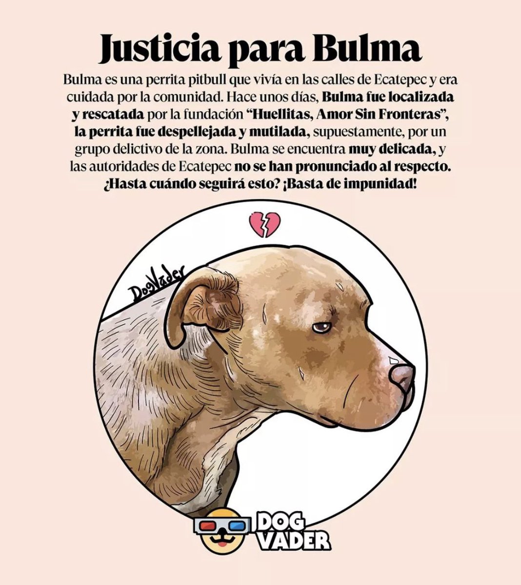 Dafneconefe's tweet photo. Hoy se hizo viral lo del perrito de Tecamac, deseo de todo corazón que se haga justicia pero ya han habido casos de maltrato animal y nunca se hace justicia.
YA BASTA!! https://t.co/bRmRdTDMB9