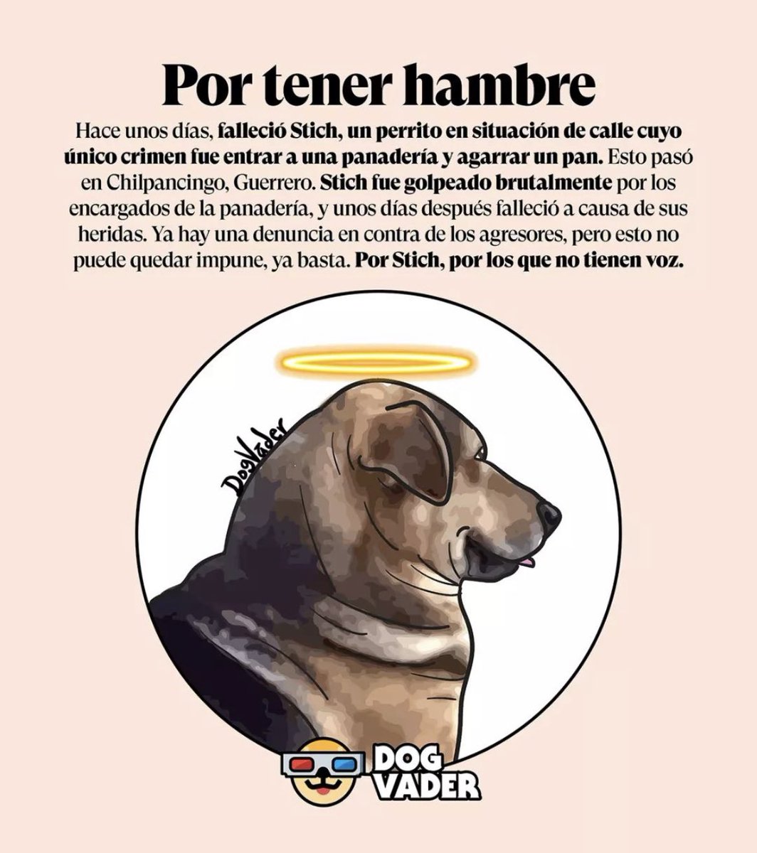 Dafneconefe's tweet photo. Hoy se hizo viral lo del perrito de Tecamac, deseo de todo corazón que se haga justicia pero ya han habido casos de maltrato animal y nunca se hace justicia.
YA BASTA!! https://t.co/bRmRdTDMB9