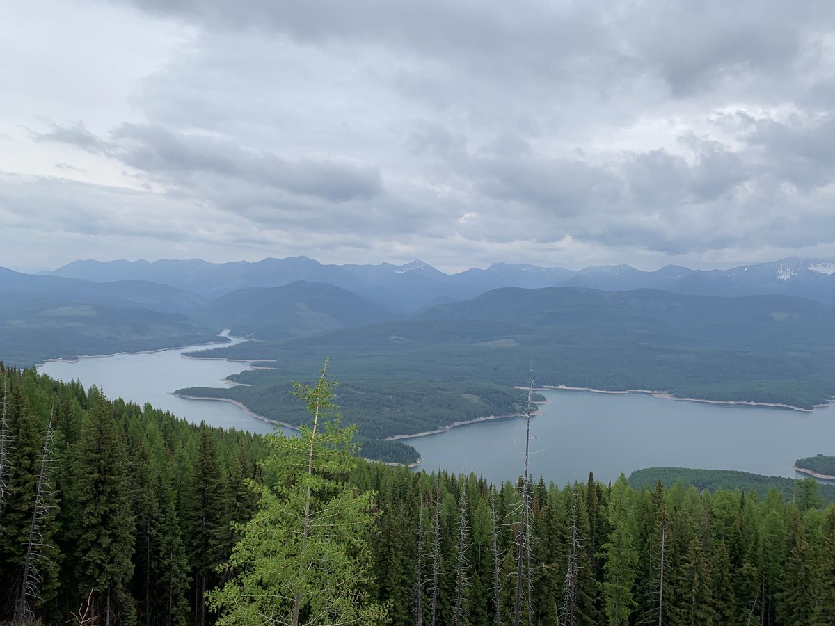 LillianByer's tweet photo. Pitstop between Davidson and Boston: paddling &amp; backpacking at Hungry Horse Reservoir/Glacier National Park! 

Not pictured: my atrocious paddling tan https://t.co/H0C6aRTF8N