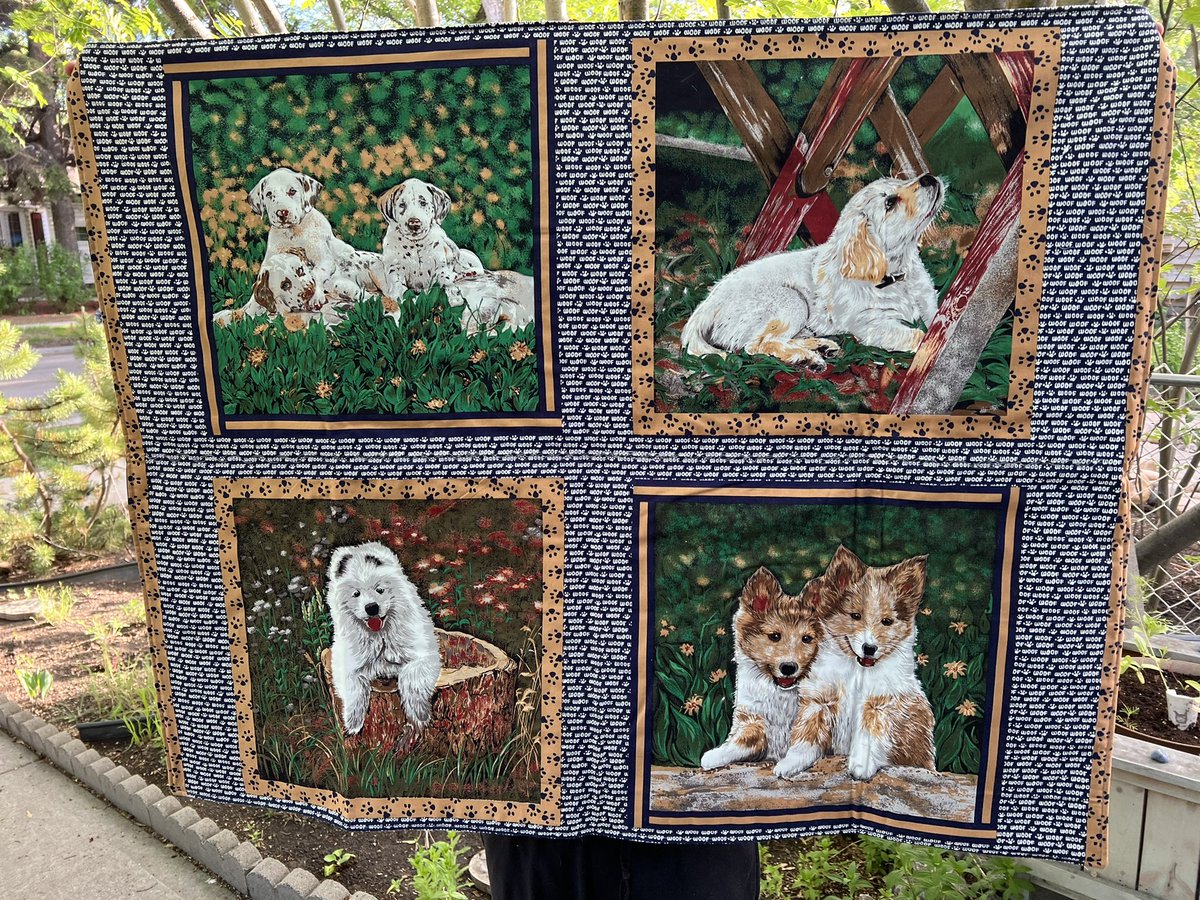 SAFEteamrescue's tweet photo. Thanks to our Sensational Camrose Sewists, Sandra and Patricia, we have these great keychains ($5 each) and this adorable 43 X 32 inch pup lap quilt ($50) for sale!  100% of the funds raised will go to our Lily the Lionheart Fund! https://t.co/iMF2nkT6Kf
