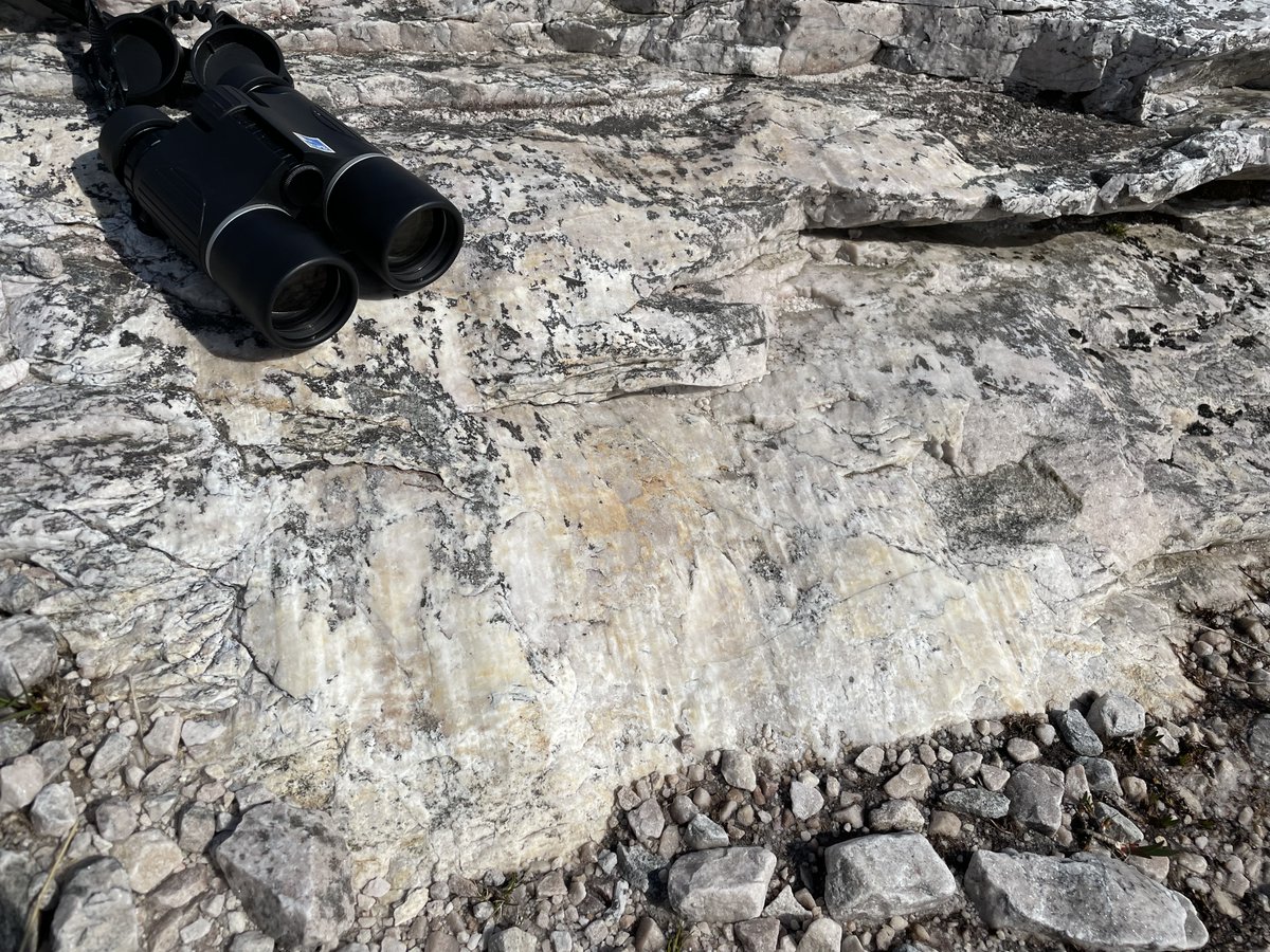 OlaKwiecien3's tweet photo. We came back with some ticks and bruises, exciting samples and new insights! Best striations I have seen in the field! #geodog Pebble got his #bogdog badge and a two pairs of muckboots 🐾👢😂. Fantastic fieldwork with an awesome team!
🧵 3/3 https://t.co/GUdr9yznIv