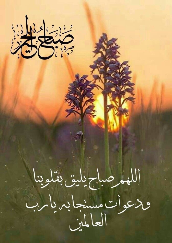 منوعات الهنا tweet media