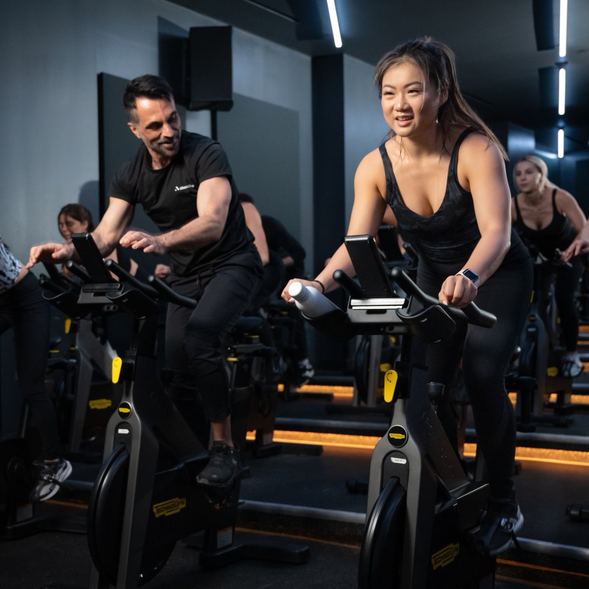 alteaactive tweet media