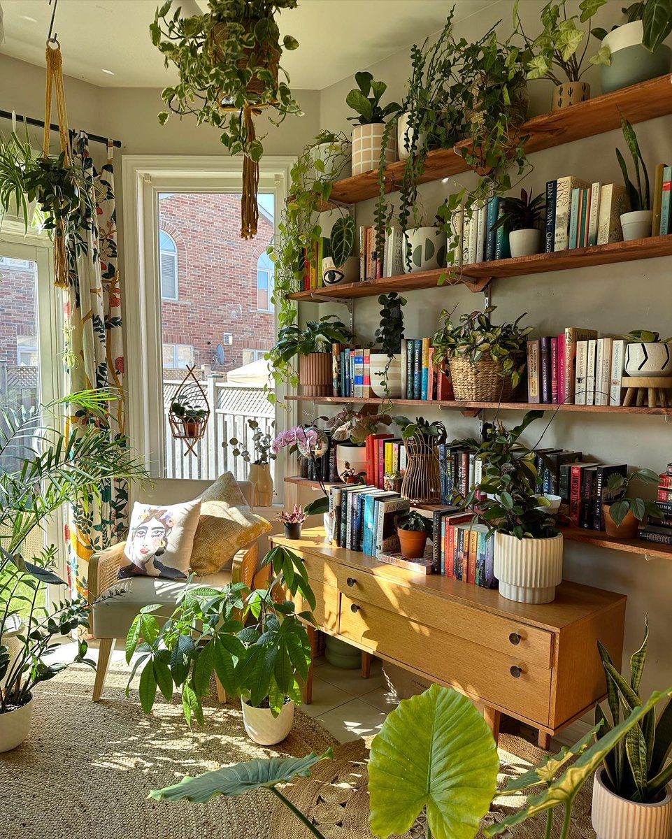 'Reading corner surrounded with houseplants, Ontario, Canada'