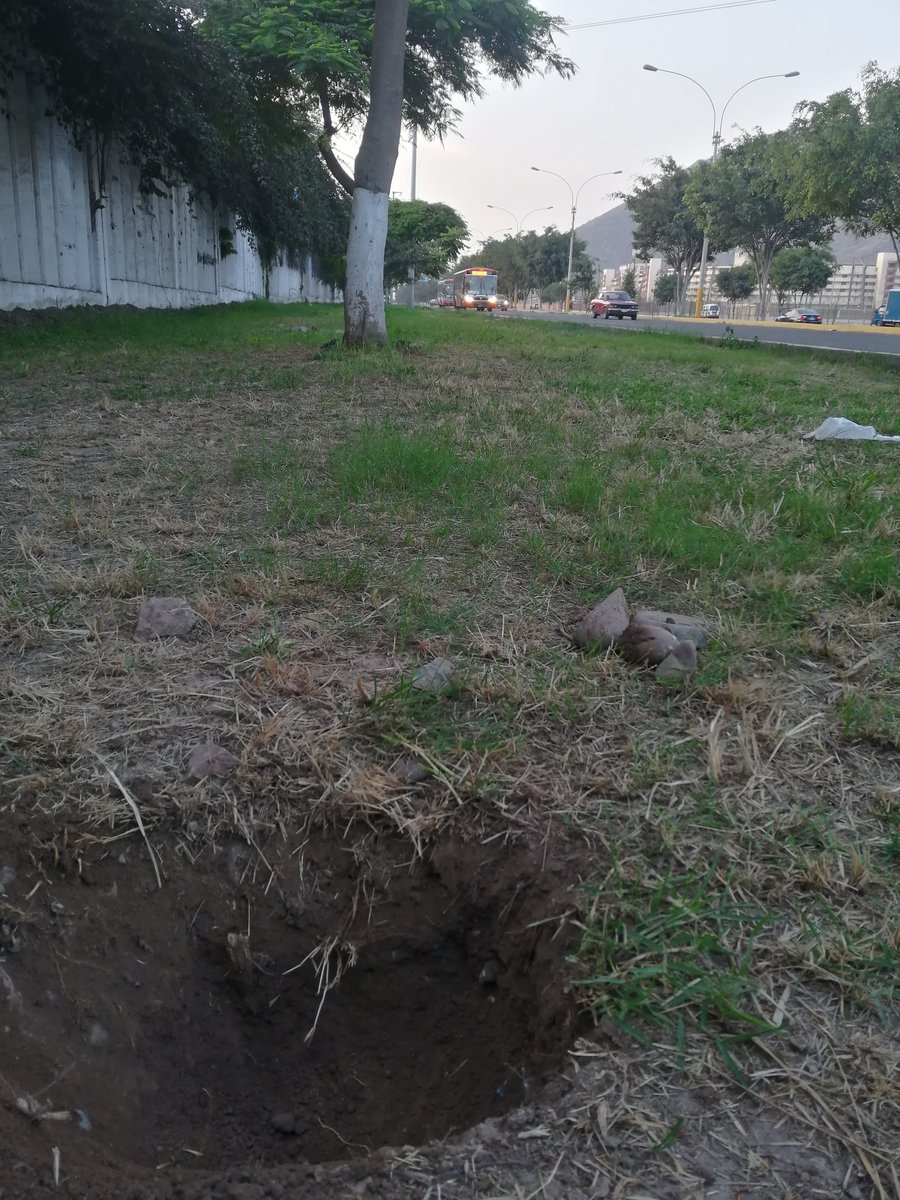 gogreen_peru's tweet photo. Gracias Edward Capristan
Por el obsequio y la ayuda para plantar 🌳🌳🌳🌳 hoy. https://t.co/qXvribWVq9