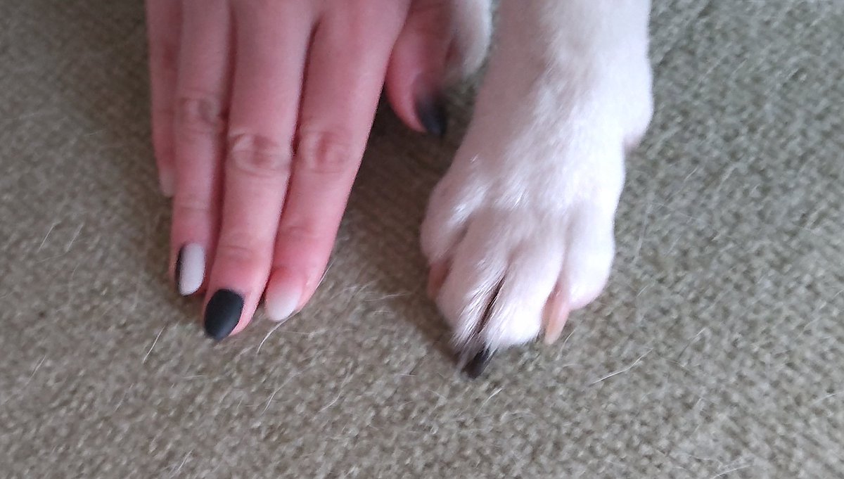 正解はバナさんの爪でした～！！
今回も持ち込みでネイリストさんとノリノリで相談しながらやってもらった😉