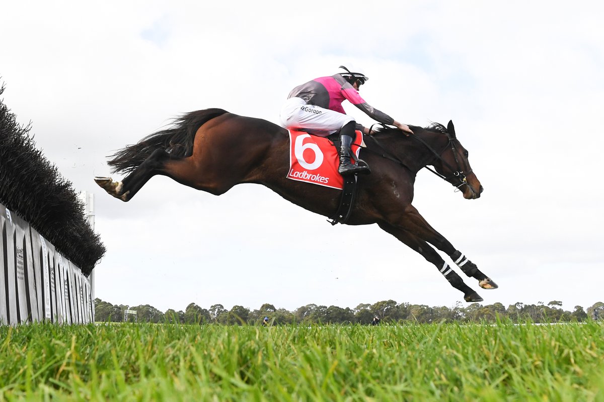 Country_Racing's tweet photo. It's a big day of Jumps Racing with Hamilton Racing Club's Jumpfest kicking off at 11:40am today 👀🐎

Gates open at 11am.

📷 Racing Photos

#StrongerTogether #CountryRacing #HowGoodIsJumpsRacing #HamiltonRacing #JumpsRacing https://t.co/T2ORuyFPkK