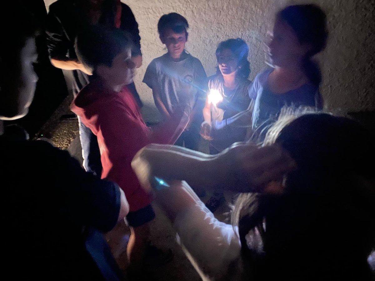 AEiGFlosiCalcat's tweet photo. [LliD] Aquest cap de setmana la unitat de #Llops i Daines han anat a fer una sortida a la Creu de Canet, on han fet una gimcana de descoberta pel poble, un banyito a la platja, jocs i moltes coses més!! 😜🥰📸🏕️🌾🌸✨ 

#femcau #femescoltisme #noucurs #sócdecau #arenysdemar https://t.co/65cUWRYHEF