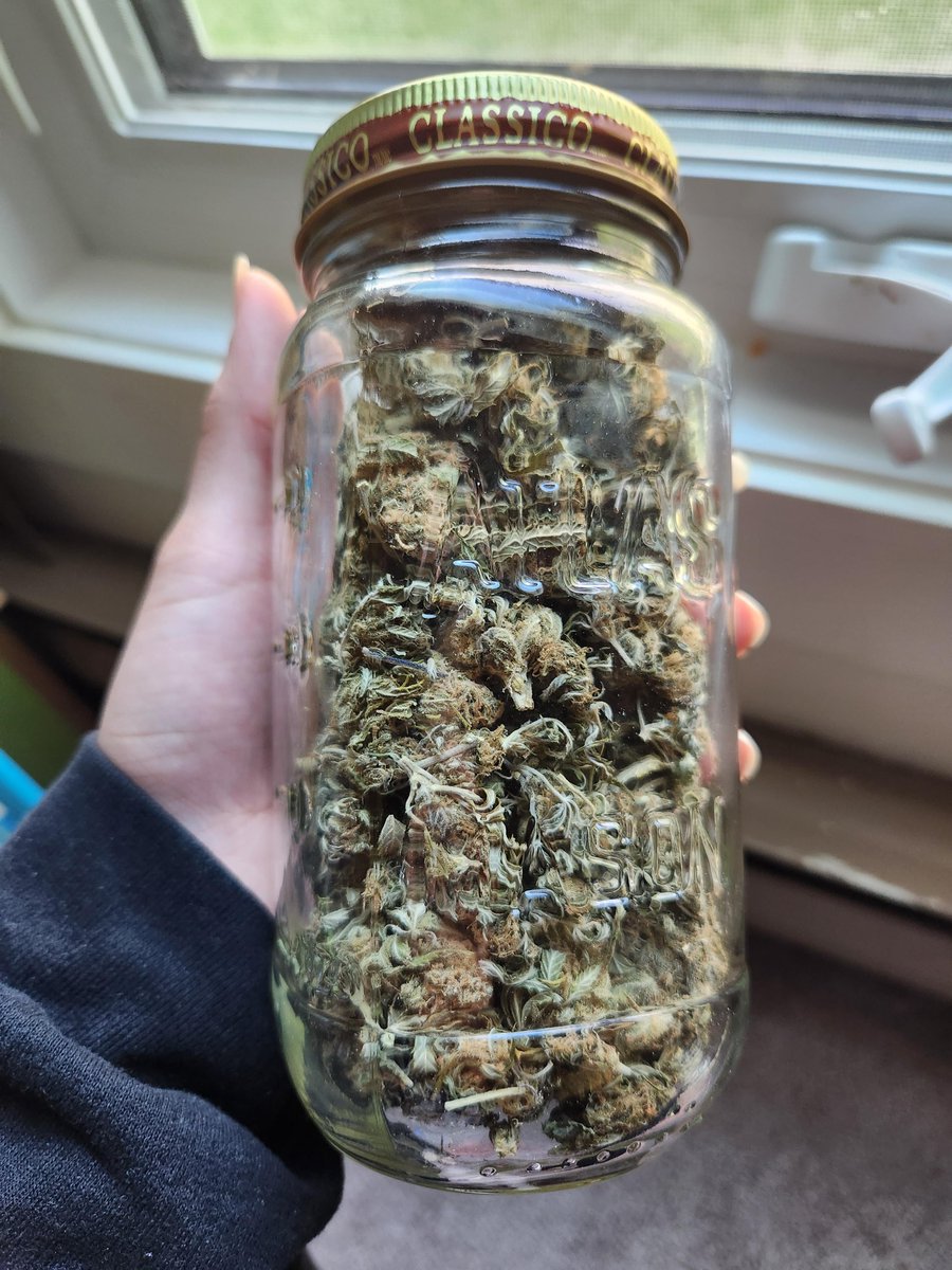 Stoners 🍁 tweet media