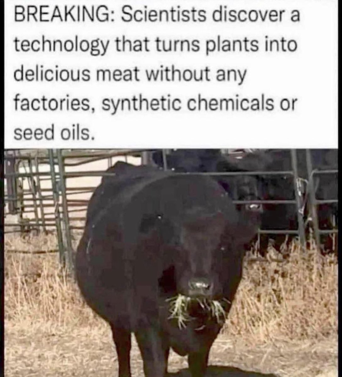 WallStreetMav's tweet photo. Who wants some steak? ... 🥩 🥩 🥩

It’s science 🔥🔥🔥 https://t.co/gySLEAhebn