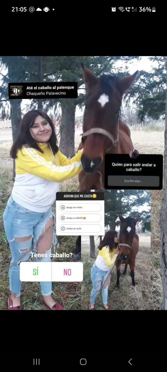 Cuando empiezan a escribirse con un paisano🤣🤣