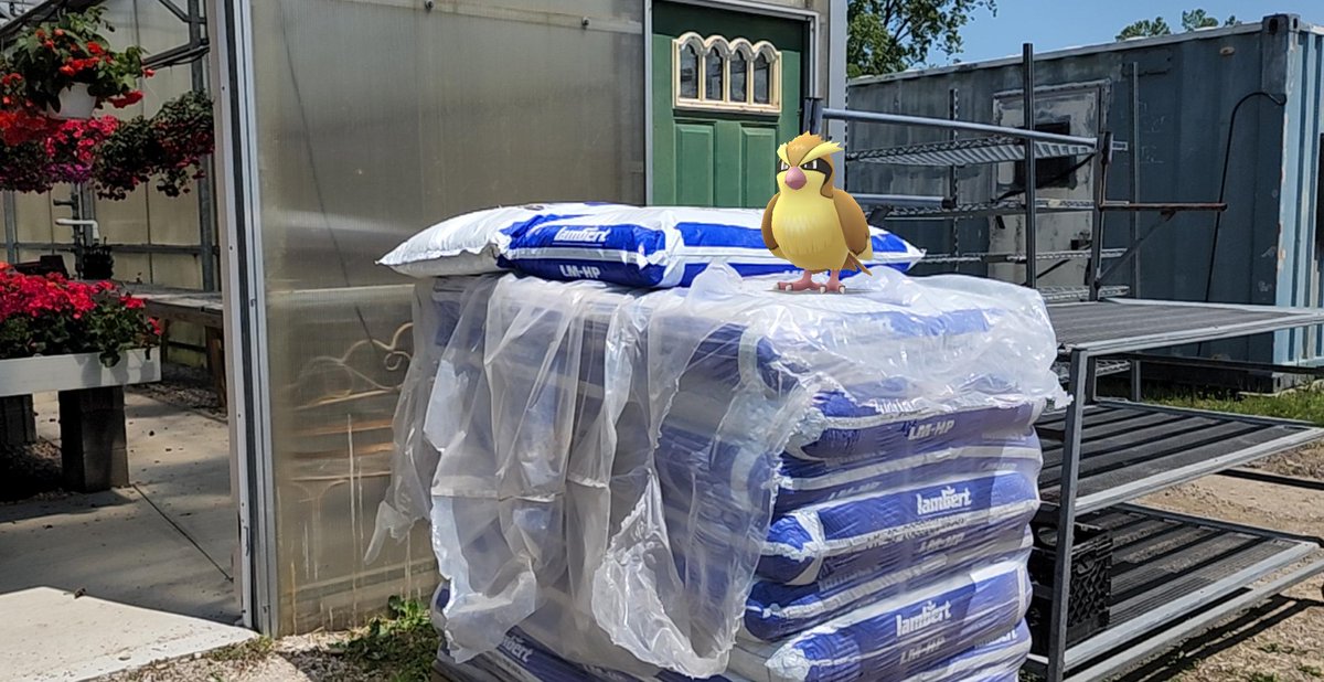 Owleyes_3's tweet image. Pallet pidgey #pokemon #pokemongo #pokemongoarplus #ARofTheDay #Go_snapshot #pokemonsnap