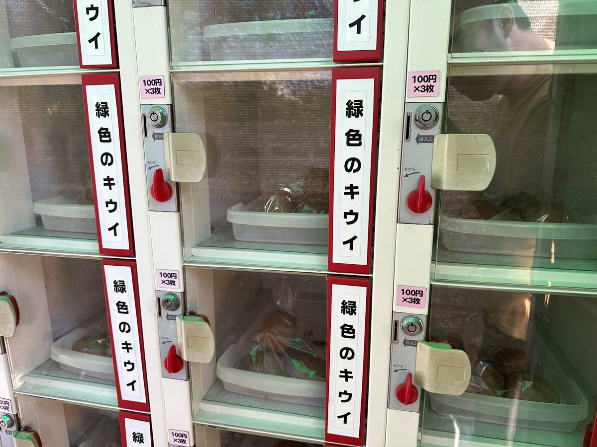 yoshino_en's tweet image. キウイ4個300円とお求めやすくなりました #MyLocal #よしの園 #テスト投稿