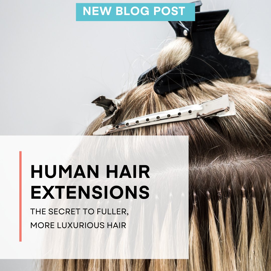 Chatter_Source's tweet image. Whether you want to add length, volume, or both, extensions are the perfect way to achieve the look you&apos;ve been dreaming of. 

Check out our blog post to learn more about the natural benefits of human hair extensions:
bit.ly/3nLiOHH