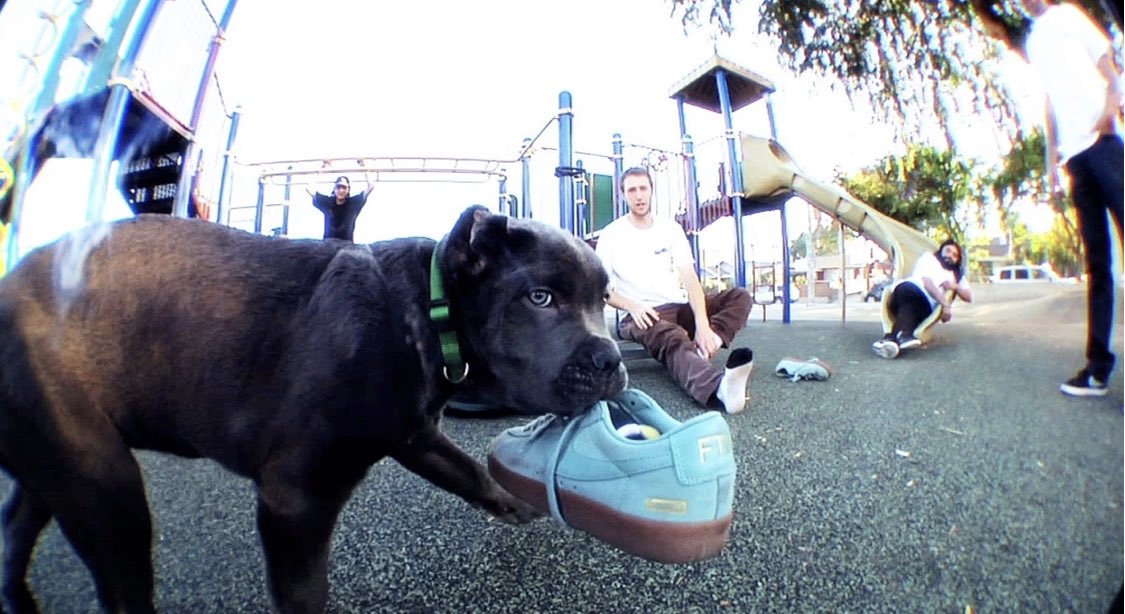 Supreme__Hustle's tweet photo. 09/14/2016
Supreme/Nike SB Blazer Low GT 

•Made exclusively for Supreme, the Blazer Low GT was offered in three color ways. 

•King Puppy by William Strobeck https://t.co/2uxyCKox0z