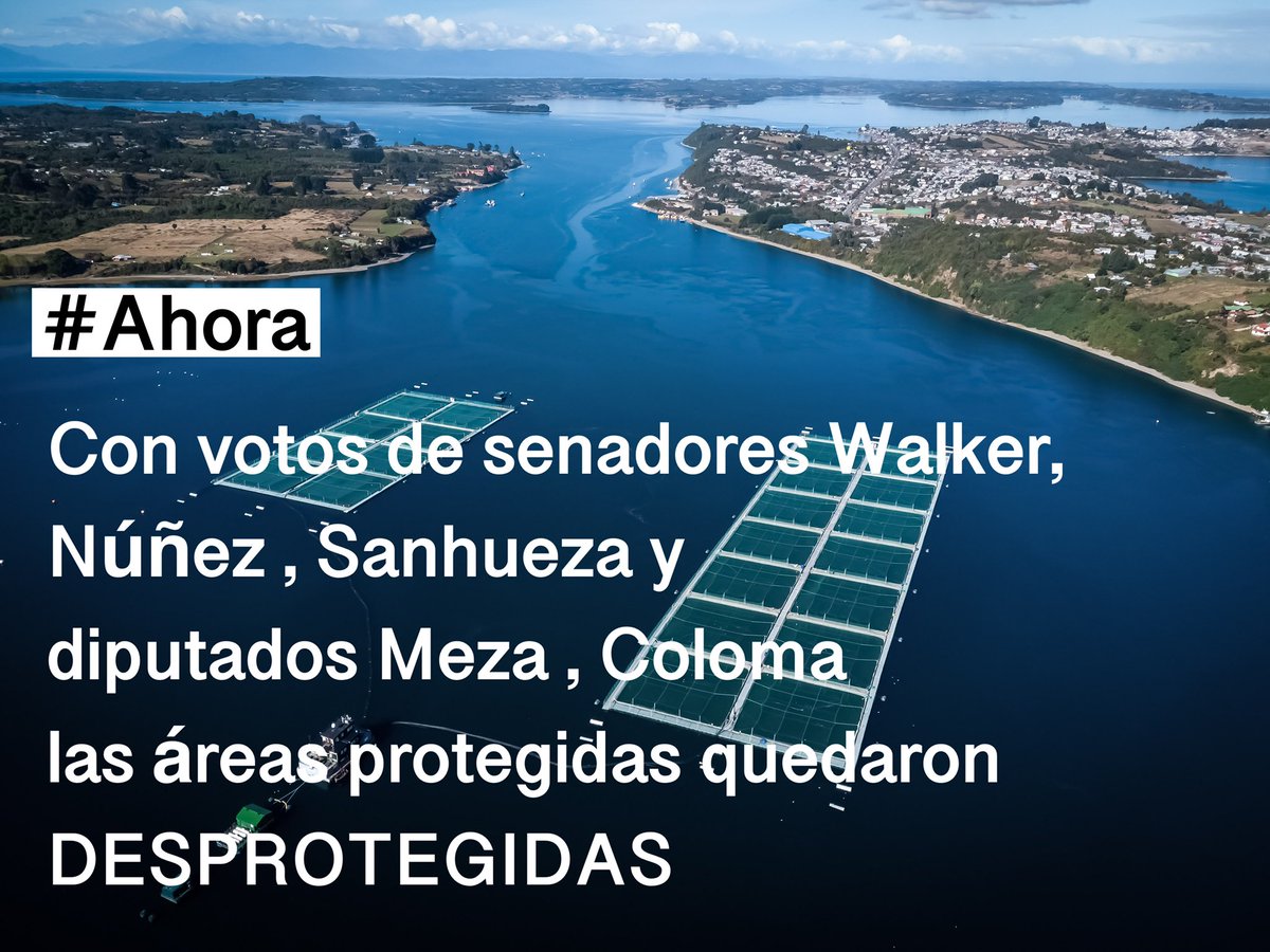 Una vergüenza para Chile .
Áreas protegidas quedaron DESPROTEGIDAS con licencia salmonera para seguir destruyendo.
Senadores <a href="/matiaswalkerp/">Matías Walker Prieto</a> <a href="/gustavosanhuez/">Senador Gustavo Sanhueza</a> <a href="/paulinanu/">Paulina NuñezUrrutia</a> y diputados <a href="/Tono_Coloma/">Coloma Diputado</a> <a href="/JoseMezaPereira/">José Carlos Meza 👍🇨🇱</a> permitieron que salmoneras sigan destruyendo ecosistemas marinos de la