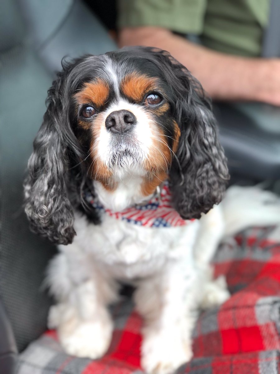 Happy Memorial Day friends!