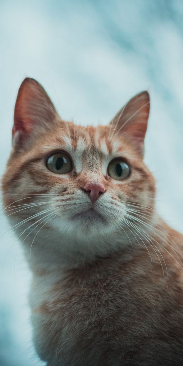 persatu_r4ky4t's tweet image. Hva ser du?
0baed1a.hi23se.my.id/7c5a14dfca92811
#Katt #Dyr #oslo ##sverige #stockholm #photography #malmö #photooftheday #instagood #göteborg #gothenburg #fitness #picoftheday #ig_sweden #sweden_photolovers #sommar #photo #sun #scandinavia #rödaleden #världsarv #karlskrona #jönköping #vår