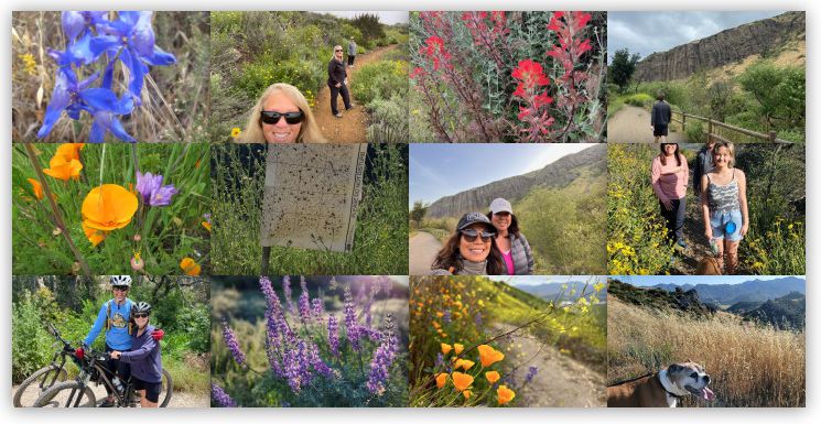 Only 2 days left to complete the 2023 Open Space Challenge!. The Conejo Open Space Challenge ends on May 31 - if you haven't finished it yet, it's time to get serious! Here is the latest gallery of photos submitted by the participants.

cosf.org/news/only-2-da…