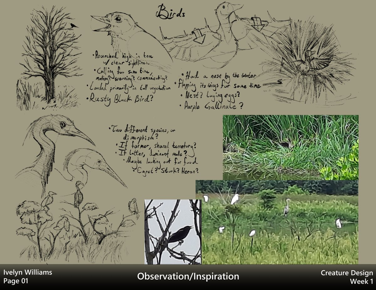 ivyyersinia's tweet image. My pages from the first week of the Creature Design class taught by peterhanstyle (instagram). I went to Phinizy Swamp Nature Park here in Augusta and it was pretty fun to just watch and observe. Excited for the rest of the class!

#dynamicsketching #creaturedesign #digitalart