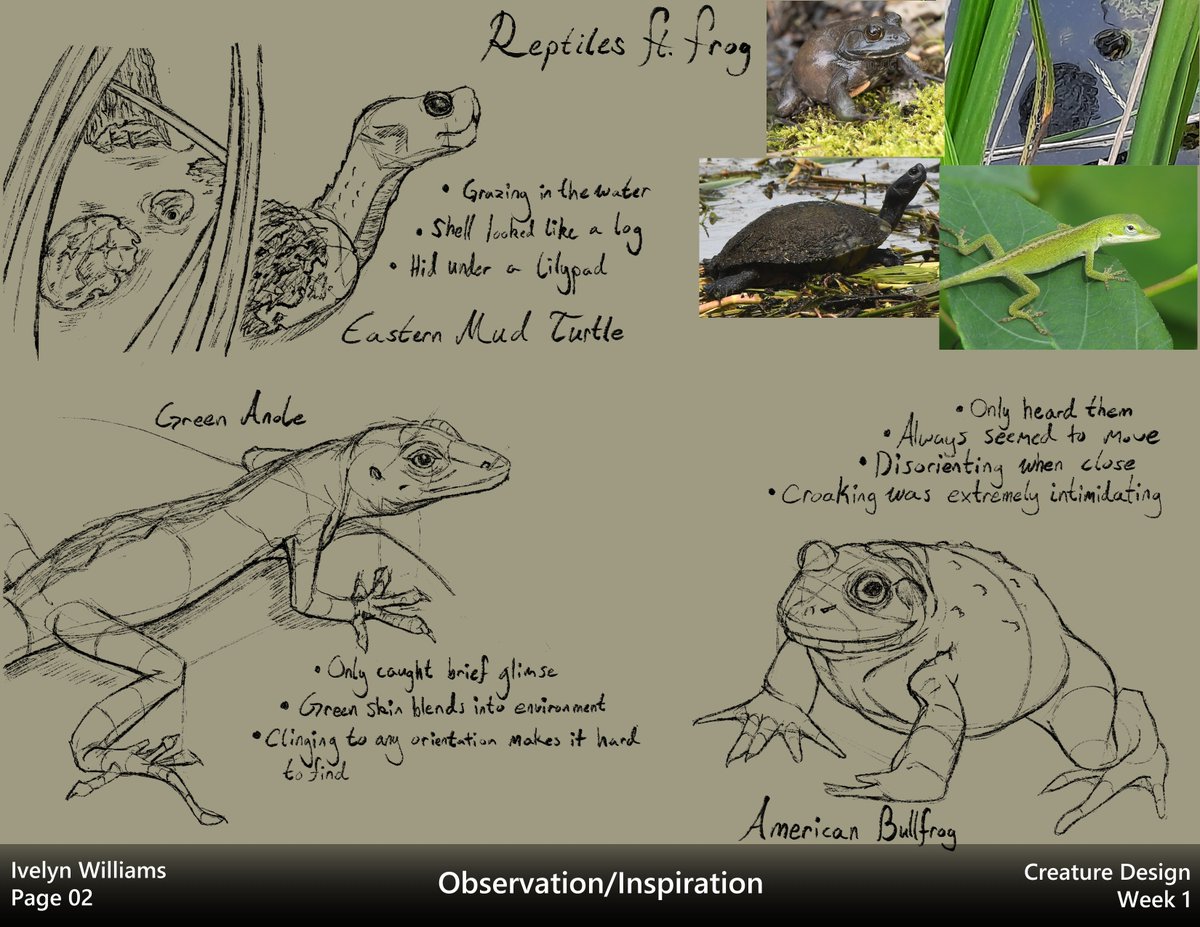 ivyyersinia's tweet image. My pages from the first week of the Creature Design class taught by peterhanstyle (instagram). I went to Phinizy Swamp Nature Park here in Augusta and it was pretty fun to just watch and observe. Excited for the rest of the class!

#dynamicsketching #creaturedesign #digitalart