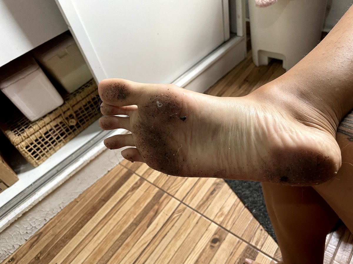 FRfeet3d's tweet photo. Pronto, esse é seu único alimento agora, bom proveito 😛😇
#pés #solinhas #podolatria #feet #femdom #footfetish #pésdeprincesa https://t.co/RaUjQfGWyv