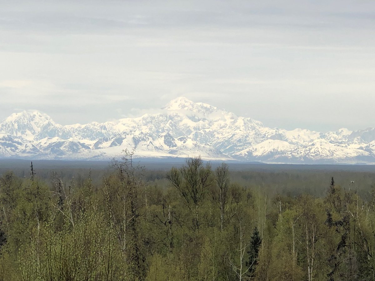 In case I didn’t post it, here’s Denali from last week.  5/19/23 2:50pm.