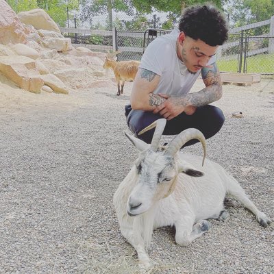 JayHefe's tweet photo. Long Live Kobe 🩻🐍 https://t.co/kvHdeV0BQZ